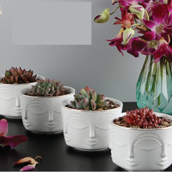 Other - Set of 4 Stunning Face Pot Indoor Planter